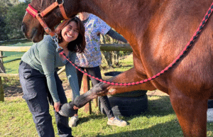 south-africa-pre-veterinary-internship-&-safari-experience-9