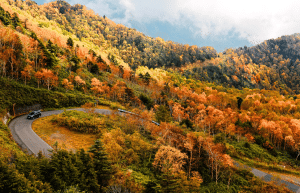 japan-childcare-teaching-support-in-tokyo-12