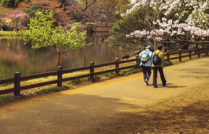 japan-childcare-teaching-support-in-tokyo-8
