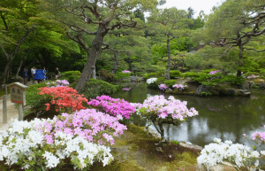 japan-working-holiday-support-program-14