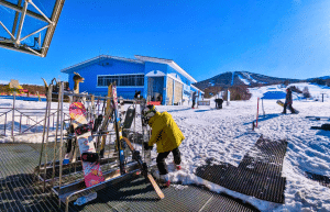 japan-working-holiday-support-program-37