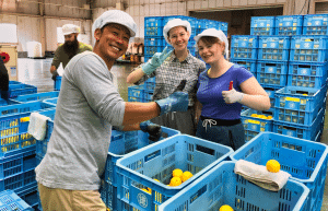 japan-working-holiday-support-program-49