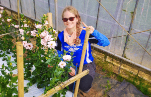 japan-working-holiday-support-program-50