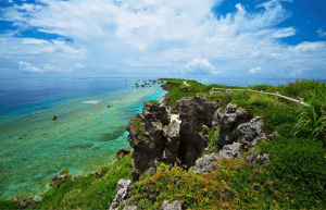 japan-working-holiday-support-program-51