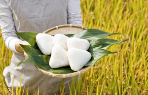 japan-working-holiday-support-program-52