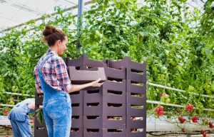 japan-working-holiday-support-program-54