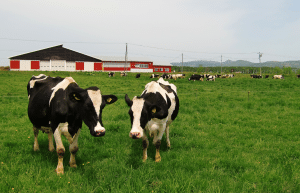 japan-working-holiday-support-program-57