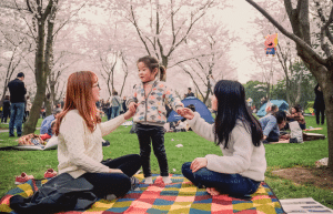 japan-working-holiday-support-program-58