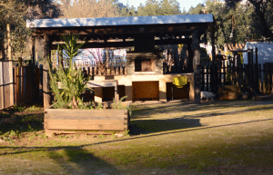 portugal-wildlife-conservation-animal-care-10