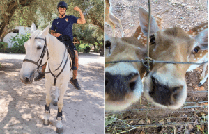 portugal-wildlife-conservation-animal-care-13