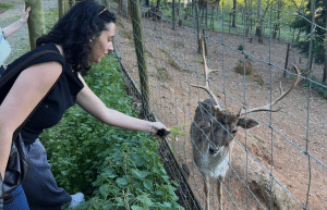 portugal-wildlife-conservation-animal-care-29
