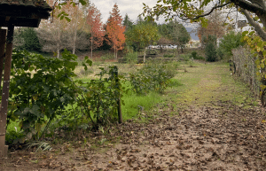 portugal-wildlife-conservation-animal-care-30