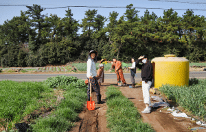 south-korea-working-holiday-support-program-15