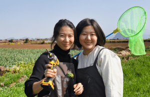 south-korea-working-holiday-support-program-16