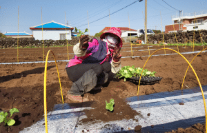 south-korea-working-holiday-support-program-19