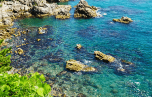 south-korea-working-holiday-support-program-2