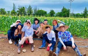south-korea-working-holiday-support-program-21