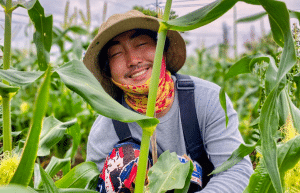 south-korea-working-holiday-support-program-22