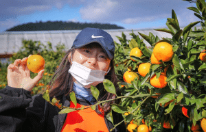 south-korea-working-holiday-support-program-26