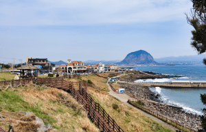 south-korea-working-holiday-support-program-5