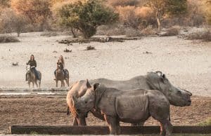 Grassland-Safari-Lodge-Rhino-horseback-Safari-Selections-Botswana-scaled1