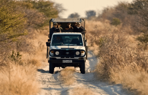 botswana-kalahari-rhino-wildlife-conservation-1