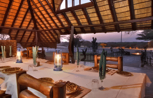 botswana-kalahari-rhino-wildlife-conservation-10