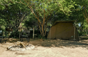 botswana-kalahari-rhino-wildlife-conservation-13