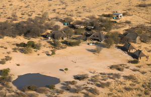 botswana-kalahari-rhino-wildlife-conservation-14