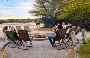 botswana-kalahari-rhino-wildlife-conservation-23