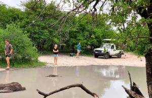 botswana-kalahari-rhino-wildlife-conservation-24