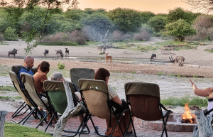 botswana-kalahari-rhino-wildlife-conservation-25