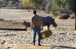 botswana-kalahari-rhino-wildlife-conservation-26
