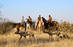 botswana-kalahari-rhino-wildlife-conservation-29