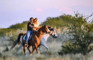 botswana-kalahari-rhino-wildlife-conservation-30