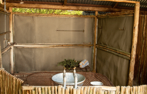 botswana-kalahari-rhino-wildlife-conservation-48