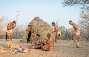 botswana-kalahari-rhino-wildlife-conservation-51