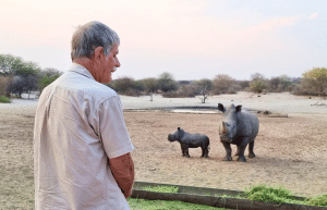 botswana-kalahari-rhino-wildlife-conservation-55