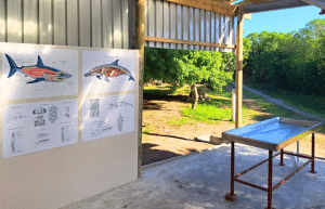 family-friendly-marine-big-5-conservation-1