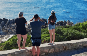 family-friendly-marine-big-5-conservation-12
