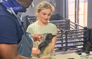 family-friendly-marine-big-5-conservation-13