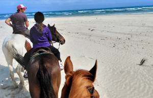 family-friendly-marine-big-5-conservation-14
