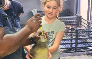 family-friendly-marine-big-5-conservation-15