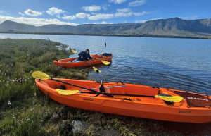 family-friendly-marine-big-5-conservation-3