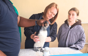 family-friendly-marine-big-5-conservation-5