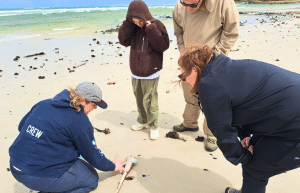 family-friendly-marine-big-5-conservation-7