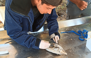 south-africa-marine-biology-internship-1