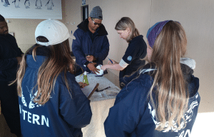 south-africa-marine-biology-internship-27