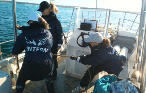 south-africa-marine-biology-internship-28