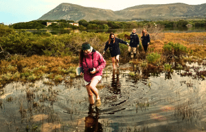 south-africa-marine-biology-internship-29